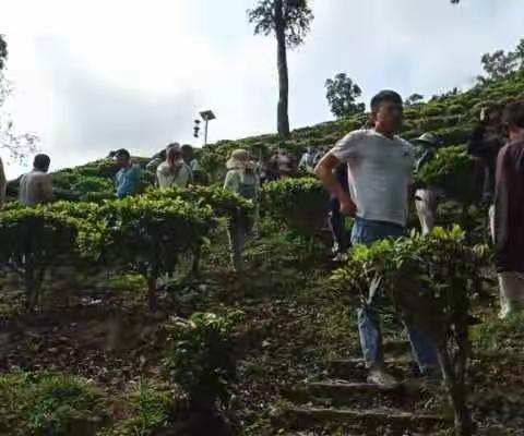 畅好乡什哈村2023年3•8节外出观摩学习简报