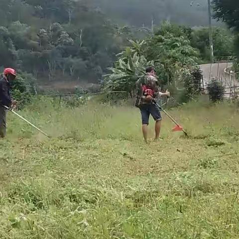 建强村党组织    推进强村富民   什哈村党支部开展党日主题活动