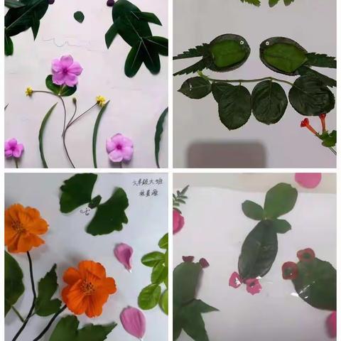 新泰市放城镇初级中学“一叶知秋”主题展示活动