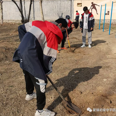 植树正当时  绿叶发新芽——翟镇初级中学学雷锋义务植树活动