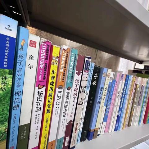 将阅读作为成长的重要途径——翟镇初级中学“三全阅读”校本课程实施推进