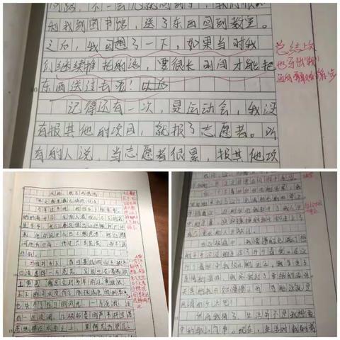 不负假期好时光，优秀作业展风采——仓街初中八年级作业展示