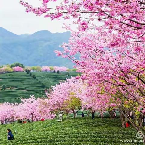 瀼水群和诗.春到思州感吟.诗篇（四）