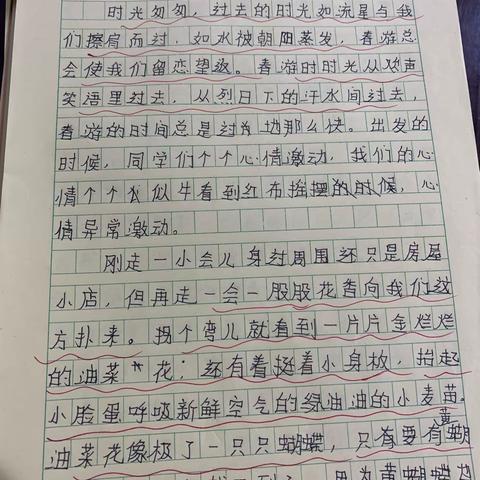 习作教学有感