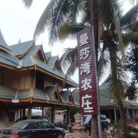 2023年1月30日，中国科学院西双版纳热带植物园，热带原始森林。