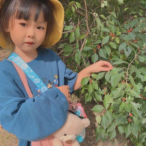 实验小学一年级二班王晨曦做的树叶🍂贴画