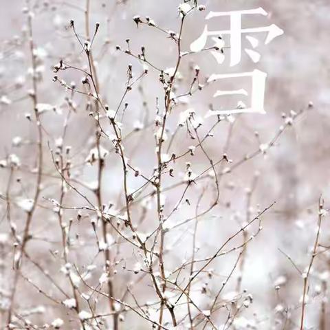 启迪二园🎀蕾蕾四班《小雪》活动