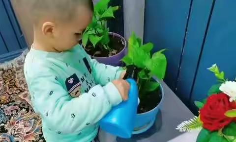 托克逊县中心幼儿园银泉分园小一班的宝贝们在这一周都干了些什么呢👇👇👇