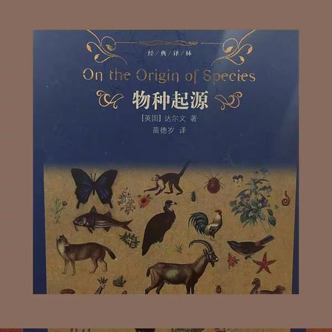 “云南省万名校长培训计划”                    122班