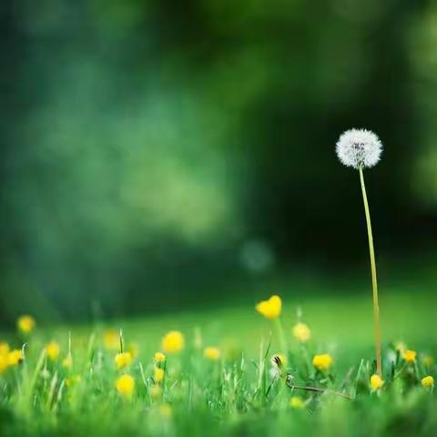 新学期 新气象 记录芳草湖农场小学“5+2”课后托管服务精彩瞬间