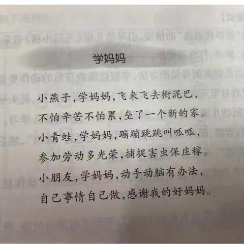 中五班每周小记