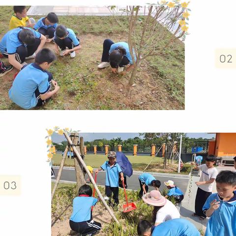 劳动最光荣——记红丰镇中心小学除草护绿活动