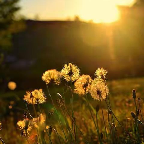 美好时光，与你相约