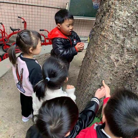 新的学期开学了，幼儿园又恢复了往日的热闹和开心