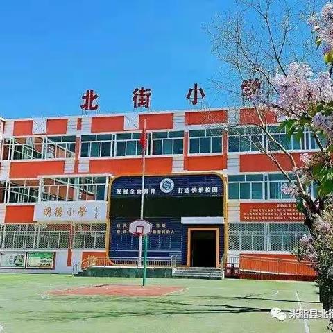 集思广益巧设计          优化作业效果精 ——米脂县北街小学一年级在“双减”政策下的作业展示