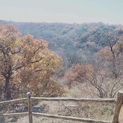 辽河中学七年六班 带你们去寻找遗失的美好！