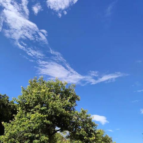 222锐意班——快乐暑假，绽放梦想！