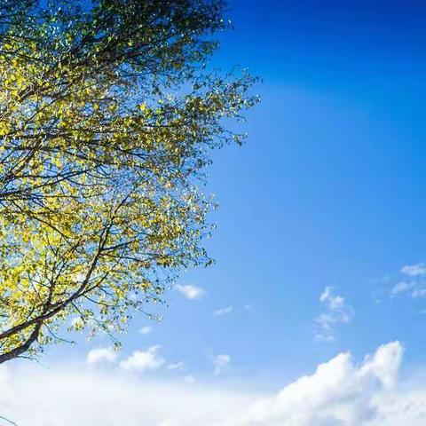 122锐意班第十二周德育作业—亲子运动！