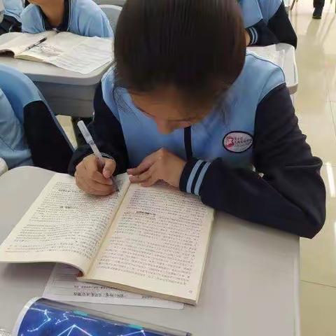 聚焦三有课堂，尽显北苑风采