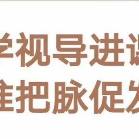 教学视导进课堂 精准把脉促发展——柳泉一中迎接中心校教学视导