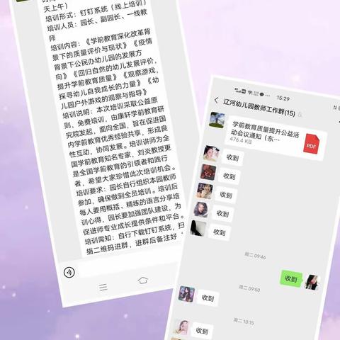 学前教育质量提升公益培训活动心得