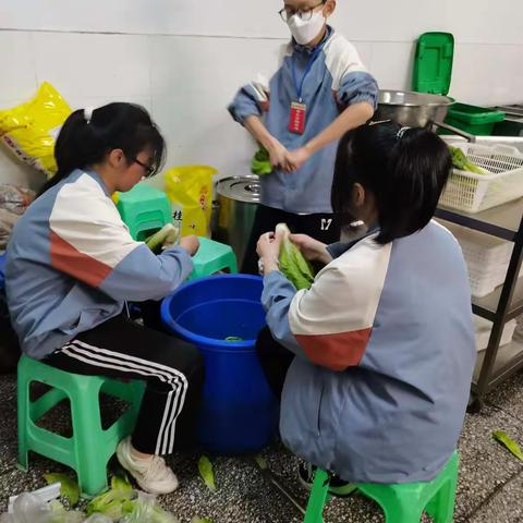 最甜的汗水——记录14班德育实践活动