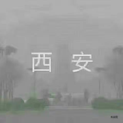 保护环境，人人有责