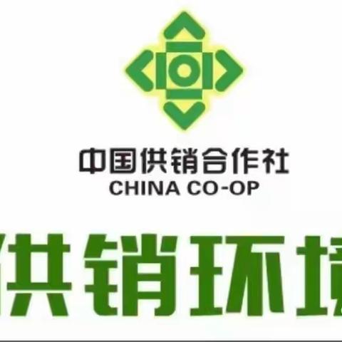 【供销环境夏津分公司】本周工作简报