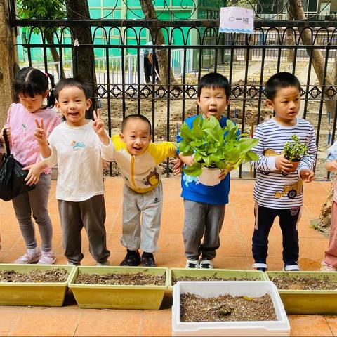 帝景苑幼儿园中二班第八周