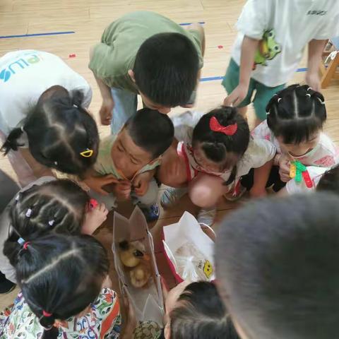 🍭🍭菠萝蜜的美篇