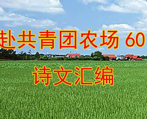 纪念赴共青团农场60周年   诗文汇编