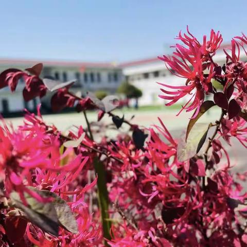 2023年梽木小学“传承雷锋精神，培育时代新人”学雷锋活动总结