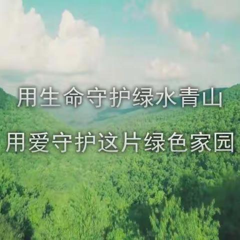 云朵的美篇（副本）