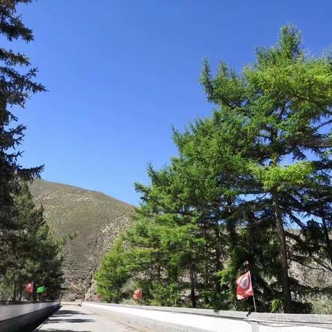 共享森林美景，严防森林火灾
