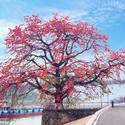 吴川一中2023级 七年级(10)班硬笔书法 佳作展