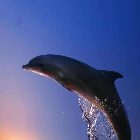 成长印记系列之，吾日三省吾身(一)