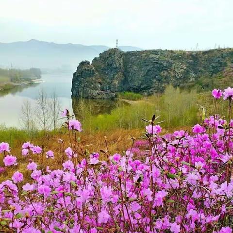 幸福语文写作系列之——，你……的样子真美