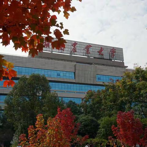 湖南农大枫叶红了