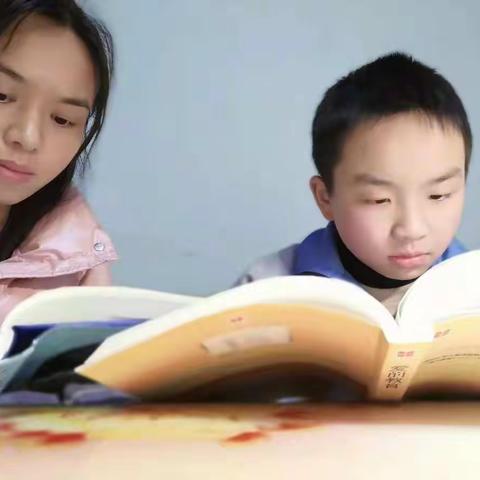 让读书成为习惯，让生活溢满书香—凤鸣学校六5班读书活动