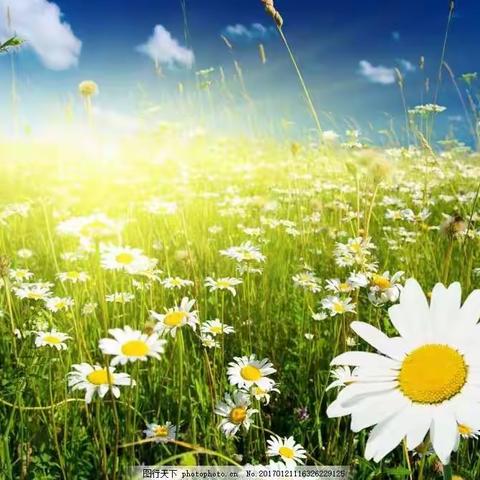 人生在勤，不索何获——探索与反思、2021-2022下学期总结