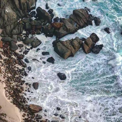 【沂小教研•语文】博采众长谋智慧， 教研交流共成长——沂堂镇中心小学一年级教师暑期大讲堂学习活动