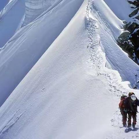 【沂小教研·语文】“半壁方石岩,须知攀登赋辛坚”——罗庄区小学语文任务群教学研究推进会