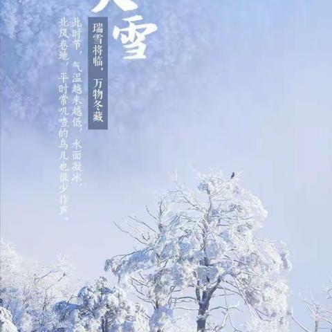 【大雪至，入隆冬❄️】市四幼二十四节气主题活动之大三班