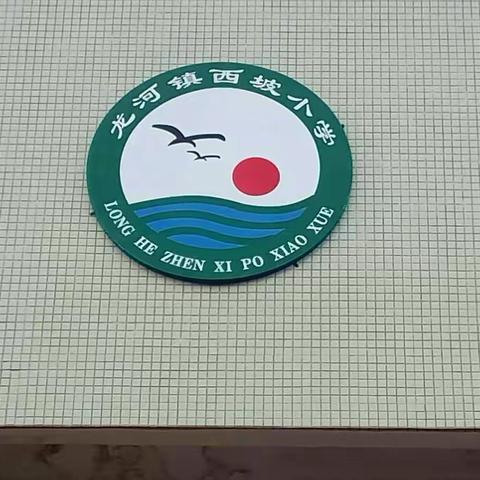 西坡小学开展均衡发展迎接国检准备，师生们在各自社团活动中。