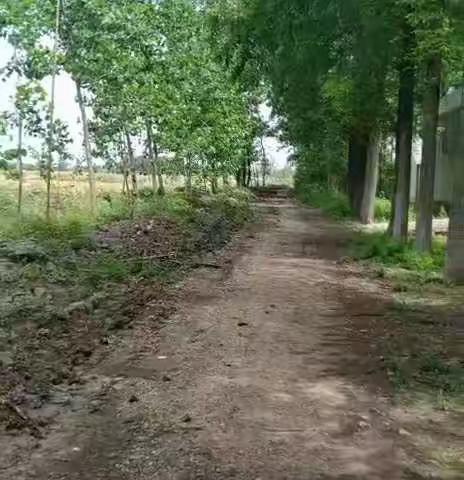 在忙，也要抽空常回家看看