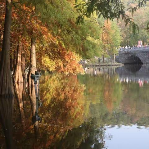 燕雀湖秋色