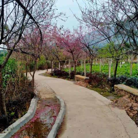 记录生活，分享感动