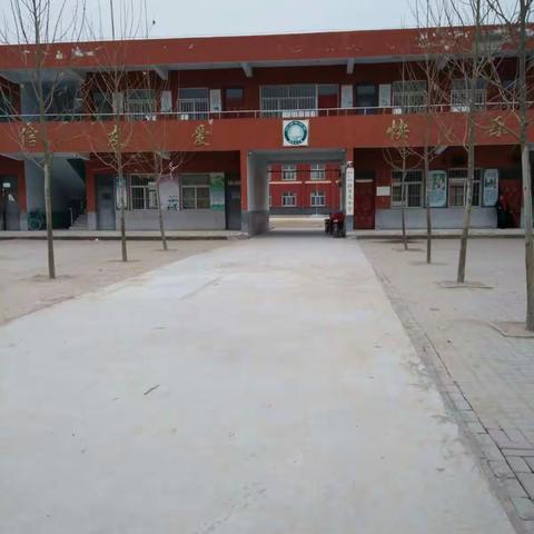 聚焦主业 提升教学质量