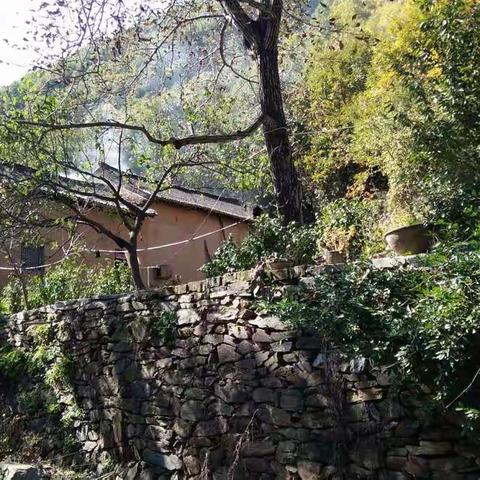 秋色农家  缤纷繁华