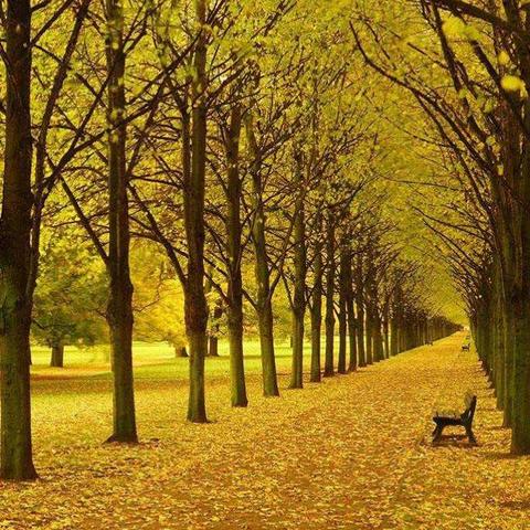 和秋天约个会——万保麒